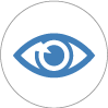 Visión